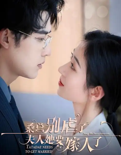 无声证词刑侦电视剧全集手机免费观看